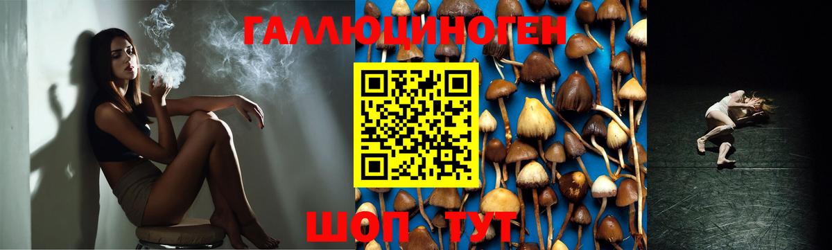 Галлюциногенные грибы мухоморы Надым