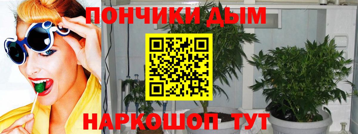 Каннабис OG Kush  Вход с VPN  Конопля план  Надым  Канабис тримм 